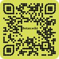 Thumbnail for version as of 01:03, 21 August 2023