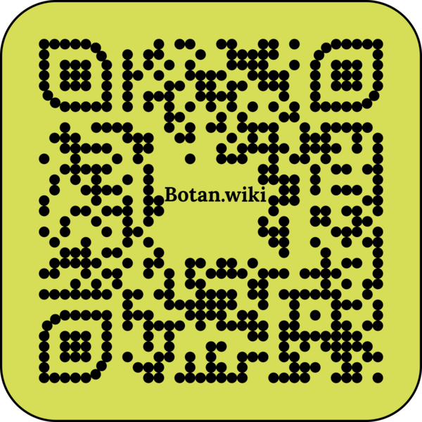 File:Adam1995.png